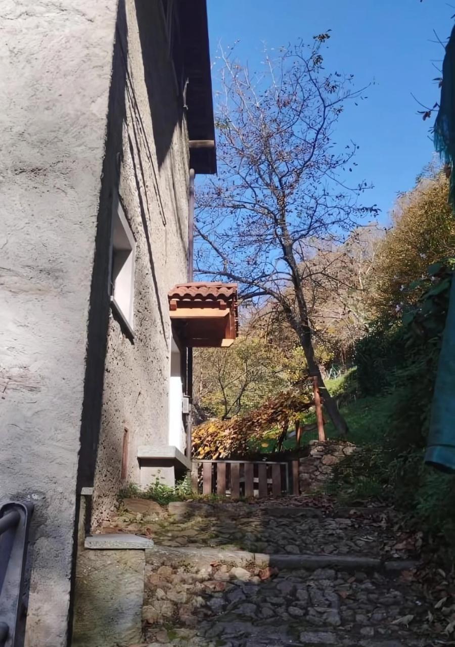 Alpaca'S House: Green, Animals & Lake View Bellano Exterior foto